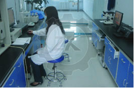 Factory Laboratory